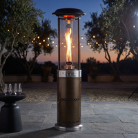 Propane Patio Heater Commercial Outdoor Gas Heater for Patio — Studio Shot